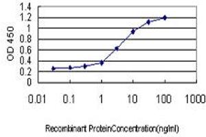 Detection limit for recombinant GST tagged ITGA7 is approximately 0. (ITGA7 antibody  (AA 478-577))