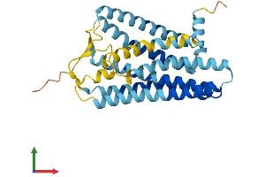 AlphaFold protein structure predicition of Human Recombinant OR2A4 Protein, UniprotID O95047