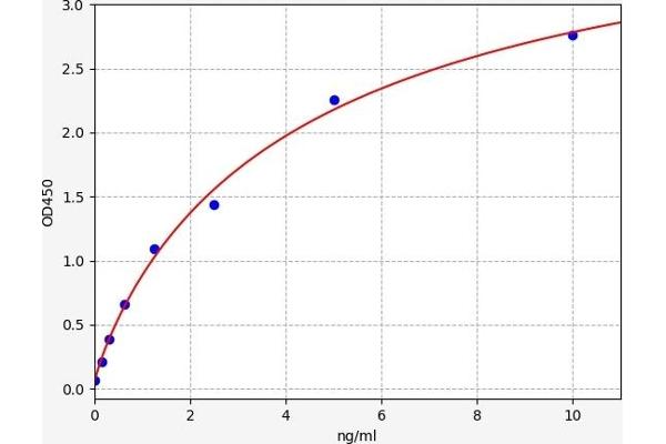 C1QBP ELISA Kit