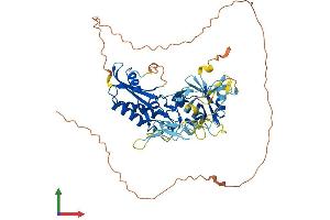 AlphaFold protein structure predicition of Mouse Recombinant Clec18a Protein, UniprotID Q7TSQ1