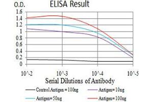 Black line: Control Antigen (100 ng);Purple line: Antigen (10ng); Blue line: Antigen (50 ng); Red line:Antigen (100 ng) (Selenoprotein S antibody  (AA 1-187))