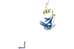 AlphaFold protein structure predicition of Human Recombinant OOEP Protein, UniprotID A6NGQ2