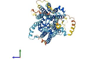 AlphaFold protein structure predicition of Human Recombinant SLC15A3 Protein, UniprotID Q8IY34 (SLC15A3 Protein (AA 1-581) (His tag))