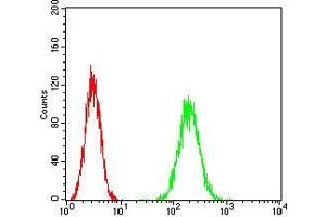 Flow Cytometry (FACS) image for anti-Hypoxanthine phosphoribosyltransferase 1 (HPRT1) (AA 1-218) antibody (ABIN2682995)