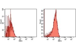 Flow cytometric analysis human colon cancer Caco-2 cells analyzed by flow cytometry using isotype control antibody (left) or Hsp90 beta mAb (K3701) (right). (HSP90AB1 antibody)