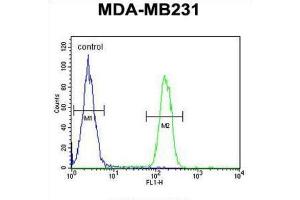 Flow Cytometry (FACS) image for anti-Arginase, Liver (ARG1) antibody (ABIN5024445) (Liver Arginase antibody)