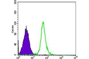 Flow cytometric analysis of Hela cells using SMC1 mouse mAb (green) and negative control (purple). (SMC1A antibody)