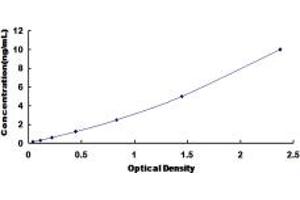 Typical standard curve (RAB1A ELISA Kit)