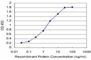 Detection limit for recombinant GST tagged SOX8 is approximately 0. (SOX8 antibody  (AA 102-210))