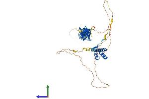 AlphaFold protein structure predicition of Mouse Recombinant Lhx5 Protein, UniprotID P61375