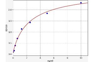 FGFBP1 ELISA Kit