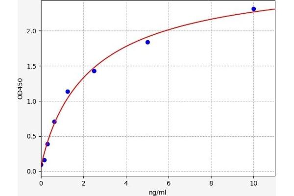 FGFBP1 ELISA Kit