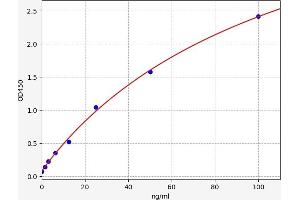 Typical standard curve (CFP ELISA Kit)
