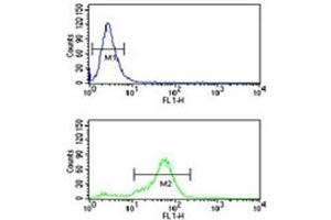 H4 antibody flow cytometric analysis of NCI-H460 cells (bottom histogram) compared to a negative control (top histogram).