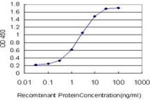 Detection limit for recombinant GST tagged EPHB3 is approximately 0. (EPH Receptor B3 antibody  (AA 899-997))