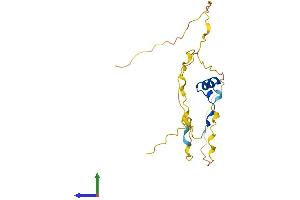 AlphaFold protein structure predicition of Human Recombinant CITED4 Protein, UniprotID Q96RK1 (CITED4 Protein (AA 1-184) (His tag))