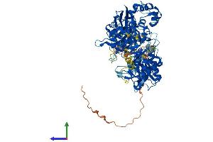 Protein Structure (PS) image for Phospholipase C delta 3 (PLCd3) (AA 1-789) protein (His tag) (ABIN7554947)