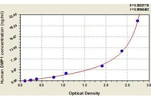 Typical Standard Curve (DMP1 ELISA Kit)