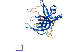 AlphaFold protein structure predicition of Mouse Recombinant Spin1 Protein, UniprotID Q61142 (Spindlin 1 Protein (SPIN1) (AA 1-262) (His tag))