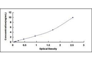 Typical standard curve (SEMA3F ELISA Kit)