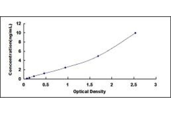 SEMA3F ELISA Kit