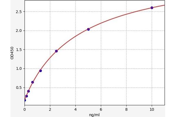 GAD65 ELISA Kit