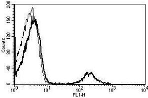 A typical staining pattern with the B-H20 monoclonal antibody of lymphocytes (CD20 antibody)