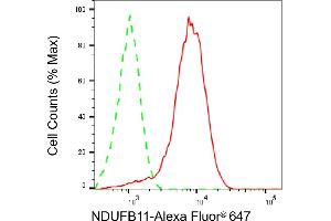 Flow cytometric analysis of NDUFB11 expression in HepG2 cells using NDUFB11 antibody (ABIN7799548), 1:2,000). (NDUFB11 antibody)