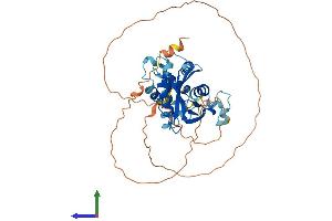 Protein Structure (PS) image for DCP2 Decapping Enzyme Homolog (DCP2) (AA 1-420) protein (His tag) (ABIN7553624)