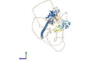 AlphaFold protein structure predicition of Human Recombinant UNKL Protein, UniprotID Q9H9P5 (UNKL Protein (AA 1-680) (His tag))
