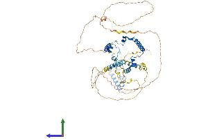 AlphaFold protein structure predicition of Human Recombinant PHACTR3 Protein, UniprotID Q96KR7