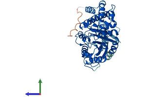 AlphaFold protein structure predicition of Human Recombinant GNA12 Protein, UniprotID Q03113