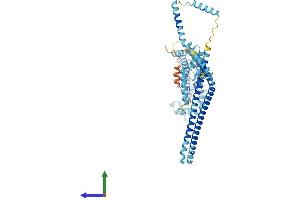 AlphaFold protein structure predicition of Human Recombinant IQCB1 Protein, UniprotID Q15051