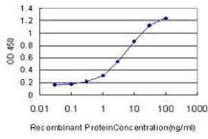 Detection limit for recombinant GST tagged ADAMDEC1 is approximately 0. (ADAMDEC1 antibody  (AA 361-470))