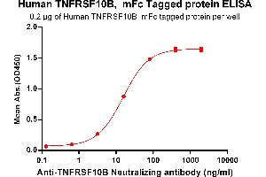 ELISA plate pre-coated by 2 μg/mL (100 μL/well) Human TNFRSF10B, mFc tagged protein (ABIN6961152) can bind Anti-TNFRSF10B  Neutralizing antibody in a linear range of 3. (TNFRSF10B Protein (mFc Tag))