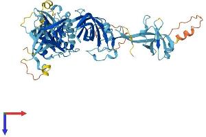 AlphaFold protein structure predicition of Human Recombinant EEFSEC Protein, UniprotID P57772 (EEFSEC Protein (AA 1-596) (His tag))
