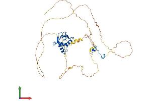 AlphaFold protein structure predicition of Human Recombinant ELK3 Protein, UniprotID P41970 (ELK3 Protein (AA 1-407) (His tag))