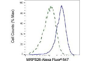 Validation of MRPS26 knockdown using flow cytometry. (Recombinant MRPS26 antibody)