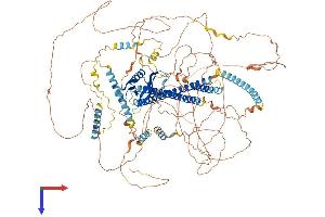 AlphaFold protein structure predicition of Mouse Recombinant Plekha6 Protein, UniprotID Q7TQG1
