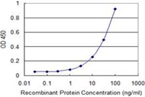 anti-Myeloid/lymphoid Or Mixed-lineage Leukemia, Translocated To, 6 (MLLT6) (AA 1-462) antibody
