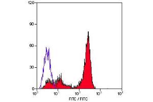 Staining of human peripheral blood lympho-cytes with Mouse Anti Human CD226: FITC (CD226 antibody  (FITC))