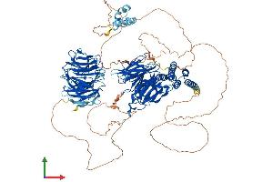 AlphaFold protein structure predicition of Human Recombinant WDHD1 Protein, UniprotID O75717 (WDHD1 Protein (AA 1-1129) (His tag))