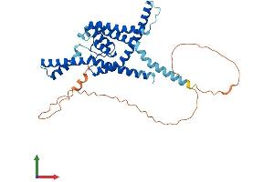 AlphaFold protein structure predicition of Human Recombinant KCNK9 Protein, UniprotID Q9NPC2 (KCNK9 Protein (AA 1-374) (His tag))