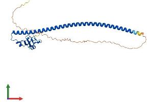 AlphaFold protein structure predicition of Human Recombinant CCNB1IP1 Protein, UniprotID Q9NPC3 (CCNB1IP1 Protein (AA 1-277) (His tag))