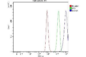 Flow Cytometry analysis of A549 cells using anti-ADAR1/ADAR antibody (ABIN7603211). (DDX3X antibody  (N-Term))