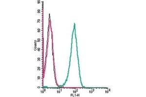Cell surface detection of Human CCR5 by indirect flow cytometry in live intact human THP-1 monocytic leukemia cells: (black line) Cells. (CCR5 antibody  (Extracellular))