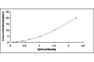 Typical standard curve (ERLIN2 ELISA Kit)