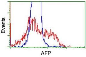 HEK293T cells transfected with either RC206622 overexpress plasmid (Red) or empty vector control plasmid (Blue) were immunostained by anti-AFP antibody (ABIN2452708), and then analyzed by flow cytometry. (alpha Fetoprotein antibody)