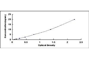 Typical standard curve (DRD3 ELISA Kit)