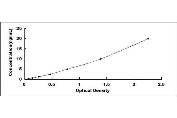 DRD3 ELISA Kit